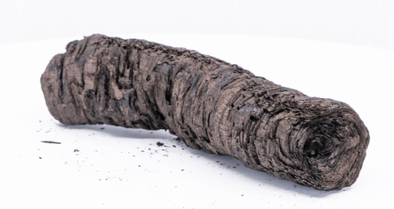 A piece of wood on a white background.
